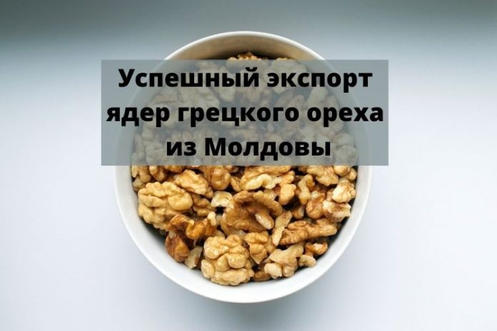 Успешный экспорт ядер грецкого ореха из Молдовы Успешный экспорт ядер грецкого ореха из Молдовы