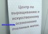 В Приднестровье запущен Центр по выращиванию и искусственному осеменению пчелиных маток Центр по выращиванию и осеменению пчелиных маток