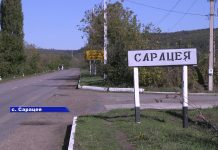 Ержово и Сарацея: красота у окраины Рыбницы Ержово и Сарацея