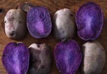 Селекционеры Украины вывели картофель с фиолетовой мякотью фиолетовый картофель