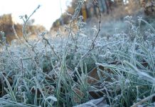 Погода 14 октября в Приднестровье Ожидаются ночные заморозки