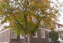 В Воронково начался ремонт сельской врачебной амбулатории В селе Воронково ремонтируют врачебную амбулаторию