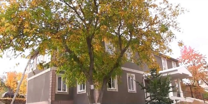 В селе Воронково ремонтируют врачебную амбулаторию