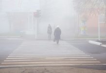 Погода 20 октября 2024 года в Приднестровье Туманное утро в Приднестровье