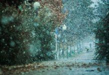 Погода 19 января 2024 года в Приднестровье Погода, гололед