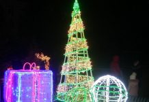 Какой документ необходимо взять на корпоратив Новогодние праздники без корпоративов