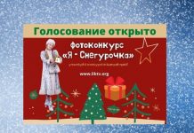 Началось голосование в фотоконкурсе «Я – Снегурочка» Голосуем за Снегурочку
