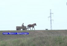 Микрорайон Лунга в Дубоссарах со своей интересной историей