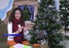 Особенная Ёлочка-2 в Рыбнице