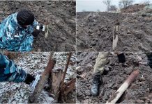 Жительница села Колбасна обнаружила в своём огороде боеприпасы В огороде найдены боеприпасы