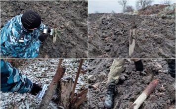 Жительница села Колбасна обнаружила в своём огороде боеприпасы В огороде найдены боеприпасы