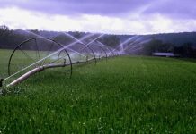 В Молдове менее 10% орошаемых площадей плодоовощных культур В Молдове орошается менее 10% площадей