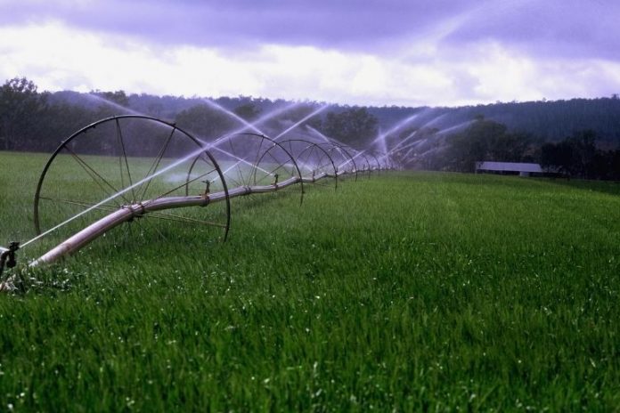 В Молдове орошается менее 10% площадей