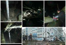 Из-за рухнувшего ночью дерева несколько домов в Рыбнице остались без света, тепла и воды 35-метровый тополь рухнул