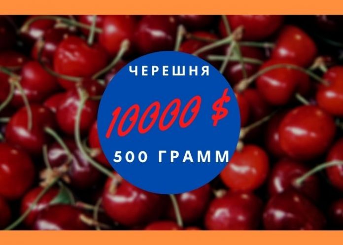 черешня за 10000 $