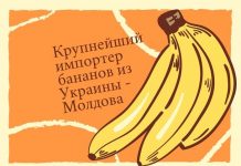 Основное количество бананов в Молдову импортировались из Украины Крупнейший импортер бананов из Украины - Молдова