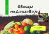 Нынешней зимой цены на овощи местного производства достигли самого низкого уровня за последние три-четыре года. Овощи подешевели