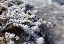 В Приднестровье ожидаются сильные морозы Ожидаются сильные морозы