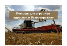 В Приднестровье поступило 90 миллионов российских рублей для поддержки аграриев Помощь для аграриев адресная и безвозвратная