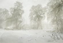 Снегопад в Приднестровье. О том, как идёт борьба с последствиями Снегопад в Приднестровье