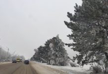 Прогноз погоды в Приднестровье на неделю, начиная с 15 февраля Прогноз погоды