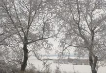 Погода 17 января в Приднестровье Прогноз погоды на неделю