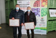 Две крупнейшие садоводческие компании Приднестровья получили сертификаты GLOBALG.A.P diplom. Фото с сайта east-fruit.com