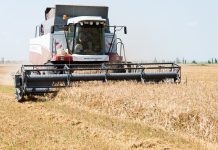 В Приднестровье 2023 год станет «сельским» Приднестровье, сельских, аграрии