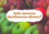 Почему молдавские яблоки 🍎 в магазинах Молдовы редкий товар Молдавские яблоки_