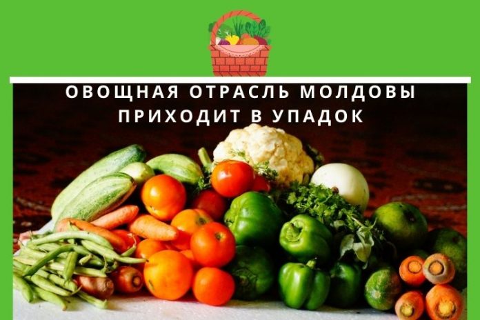 Овощная отрасль Молдовы приходит в упадок Овощная отрасль Молдовы приходит в упадок