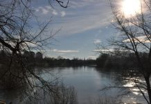 Прогноз погоды в Приднестровье на 1 марта 2021 года: каким будет первый день весны Прогноз погоды в первый день весны