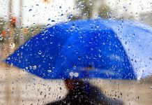 Погода на 16 марта в Приднестровье На ближайшие дни синоптики прогнозируют дожди