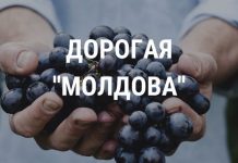 «Молдова» подорожала. Речь идет о винограде 🍇 ДОРОГАЯ _МОЛДОВА