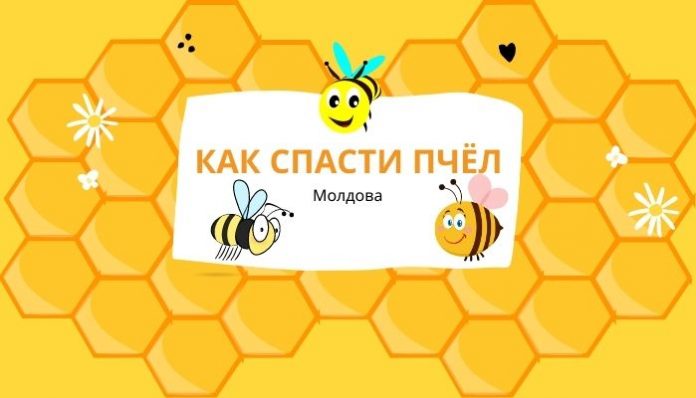 как спасти пчёл
