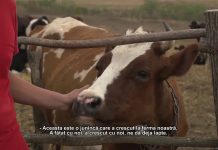 Молодежь и сельское хозяйство. Успехи и проблемы