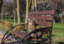 Погода 13 марта 2023 года в Приднестровье Погода, тепло