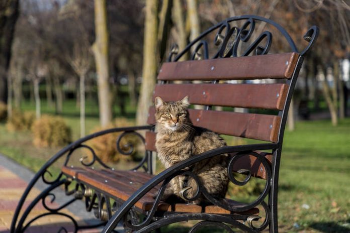 Погода, тепло