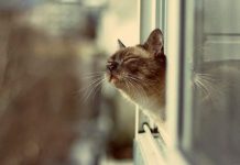 Погода 7 марта 2024 года в Приднестровье Погода