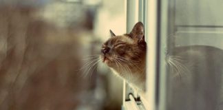 В Приднестровье прогнозируют потепление и неустойчивую погоду Погода