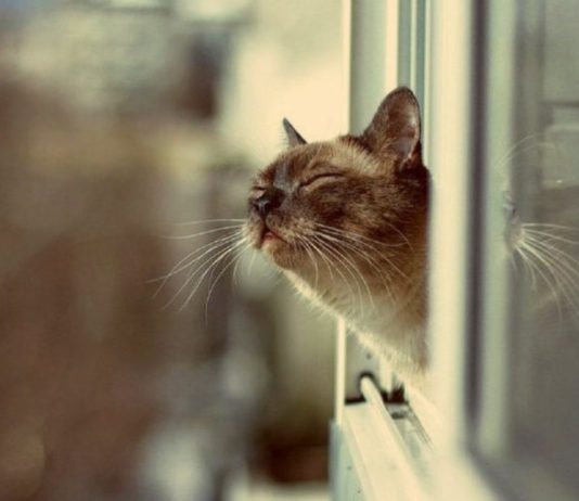 В Приднестровье прогнозируют потепление и неустойчивую погоду Погода