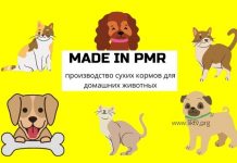 Сухие корма для кошек и собак начали производить в Приднестровье производство сухих кормов для домашних животных