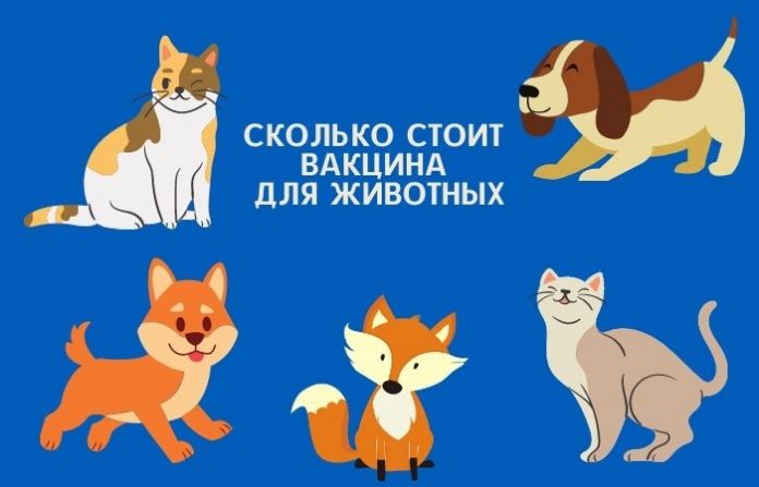 Сколько стоит вакцина для животных