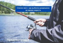 Рыбалка во время нереста разрешена на отдельных водоёмах Список мест, где можно ловить рыбу