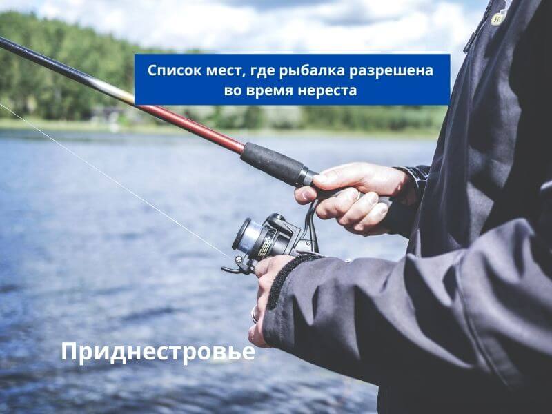 Рыбалка в Приднестровье. Запрет рыбалки ПМР. Разрешенные места для рыбалки на Днестре. Нерест в ПМР.