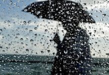 Погода на 19 марта в Приднестровье В пятницу будет дождливо и прохладно