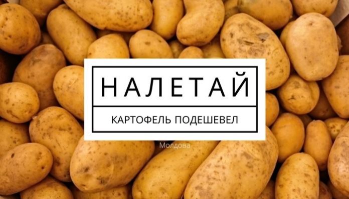 В Молдове подешевел картофель
