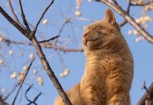 Погода 28 декабря 2022 года в Приднестровье В Приднестровье без осадков