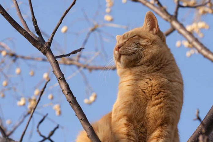 В Приднестровье без осадков