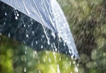 Погода на 17 марта в Приднестровье В Приднестровье ожидаются дожди