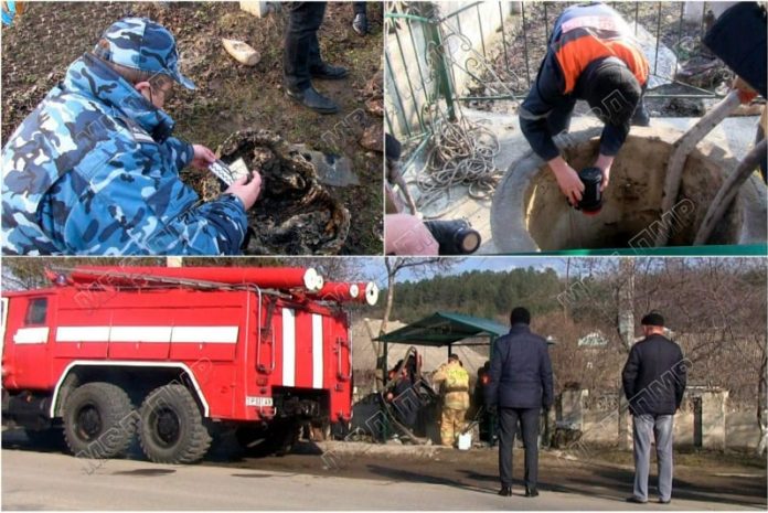 В селе Ержово обнаружили расчлененный труп